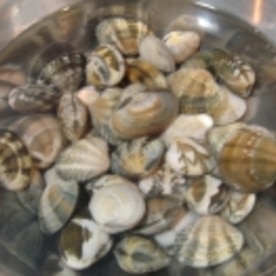 アサリの砂抜き 下処理 冷凍保存方法 レシピ 作り方 By Pinkmoon 楽天レシピ アサリの砂抜き 下処理 冷凍保存方法 レシピ 作り方 By Pinkmoon 楽天レシピ